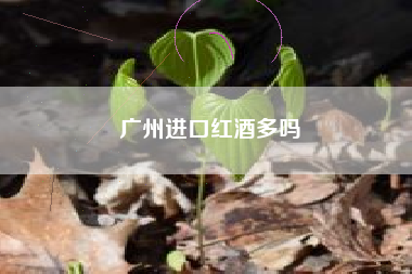 廣州進(jìn)口紅酒多嗎