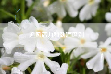 追風(fēng)活力和勁酒區(qū)別