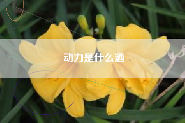 動(dòng)力是什么酒
