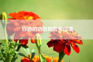 白酒的功效和營(yíng)養(yǎng)價(jià)值