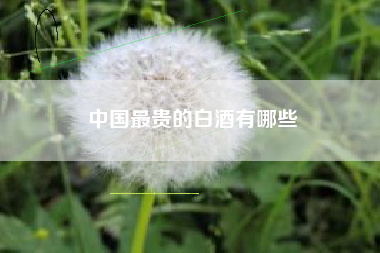 中國(guó)最貴的白酒有哪些