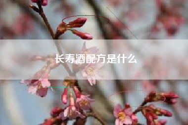 長壽酒配方是什么