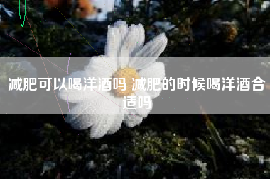 減肥可以喝洋酒嗎 減肥的時(shí)候喝洋酒合適嗎
