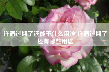 洋酒過(guò)期了還能干什么用途 洋酒過(guò)期了還有哪些用途
