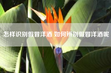 怎樣識(shí)別假冒洋酒 如何辨別假冒洋酒呢