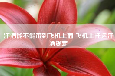 洋酒能不能帶到飛機(jī)上面 飛機(jī)上托運(yùn)洋酒規(guī)定