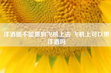 洋酒能不能帶到飛機(jī)上去 飛機(jī)上可以帶洋酒嗎