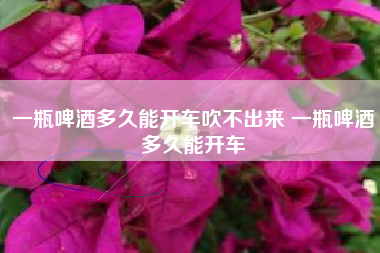 一瓶啤酒多久能開車吹不出來 一瓶啤酒多久能開車