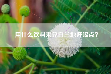 用什么飲料來兌白蘭地好喝點？