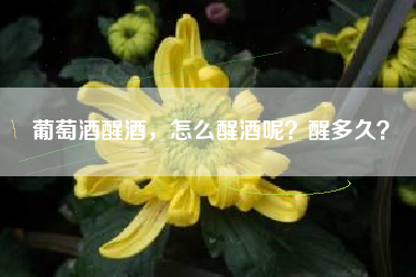 葡萄酒醒酒，怎么醒酒呢？醒多久？