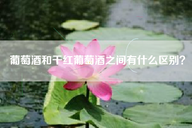 葡萄酒和干紅葡萄酒之間有什么區(qū)別？