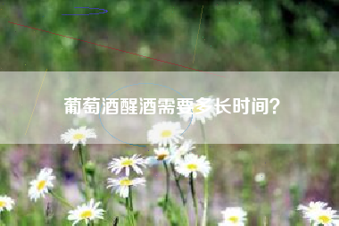 葡萄酒醒酒需要多長時間？