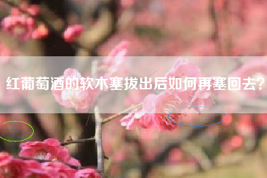 紅葡萄酒的軟木塞拔出后如何再塞回去？