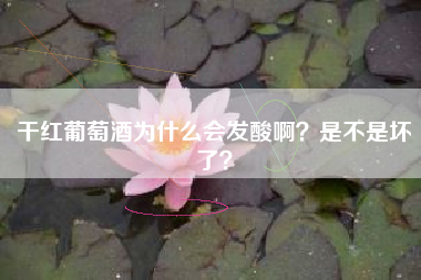 干紅葡萄酒為什么會發(fā)酸?。渴遣皇菈牧?？