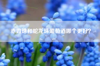 赤霞珠和蛇龍珠葡萄酒哪個更好？
