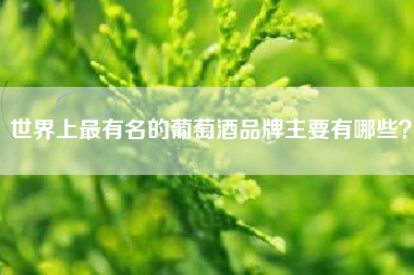 世界上最有名的葡萄酒品牌主要有哪些？