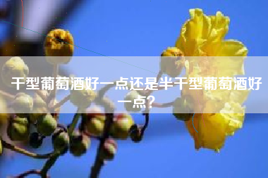 干型葡萄酒好一點(diǎn)還是半干型葡萄酒好一點(diǎn)？