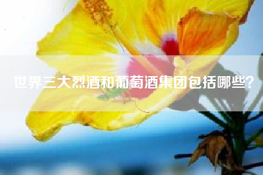 世界三大烈酒和葡萄酒集團(tuán)包括哪些？