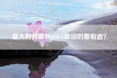 意大利有哪些DOCG級別的葡萄酒？