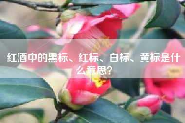 紅酒中的黑標(biāo)、紅標(biāo)、白標(biāo)、黃標(biāo)是什么意思？