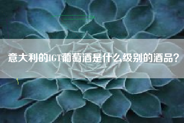 意大利的IGT葡萄酒是什么級(jí)別的酒品？