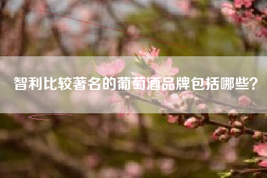 智利比較著名的葡萄酒品牌包括哪些？
