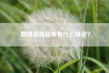 朗姆酒喝起來(lái)有什么味道？