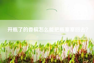 開瓶了的香檳怎么能把瓶塞塞回去？