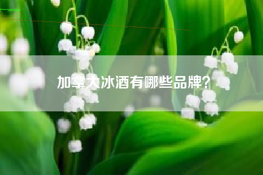 加拿大冰酒有哪些品牌？