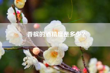 香檳的酒精度是多少？
