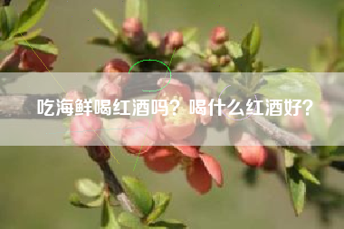 吃海鮮喝紅酒嗎？喝什么紅酒好？