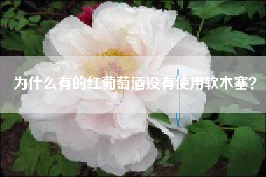 為什么有的紅葡萄酒沒有使用軟木塞？