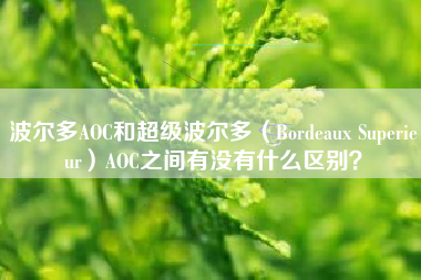 波爾多AOC和超級(jí)波爾多（Bordeaux Superieur）AOC之間有沒有什么區(qū)別？