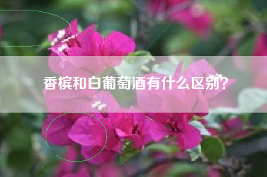 香檳和白葡萄酒有什么區(qū)別？