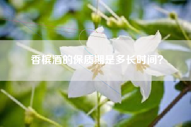 香檳酒的保質(zhì)期是多長(zhǎng)時(shí)間？