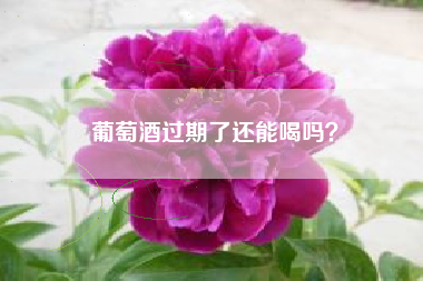 葡萄酒過(guò)期了還能喝嗎？