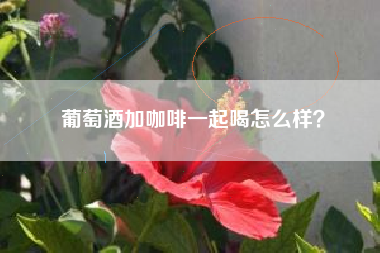 葡萄酒加咖啡一起喝怎么樣？