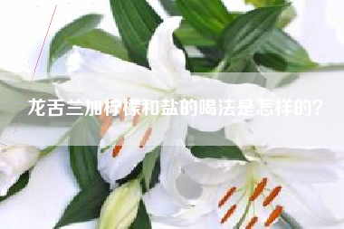 龍舌蘭加檸檬和鹽的喝法是怎樣的？