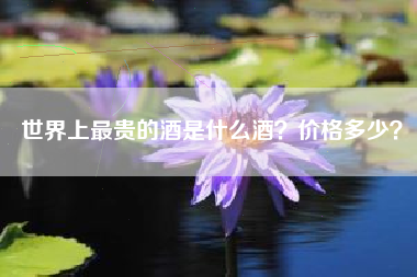世界上最貴的酒是什么酒？價格多少？
