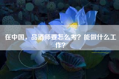 在中國，品酒師要怎么考？能做什么工作？