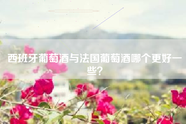 西班牙葡萄酒與法國葡萄酒哪個更好一些？
