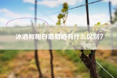 冰酒和甜白葡萄酒有什么區(qū)別？
