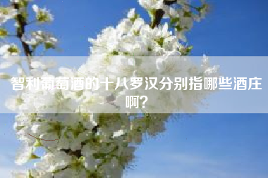 智利葡萄酒的十八羅漢分別指哪些酒莊啊？