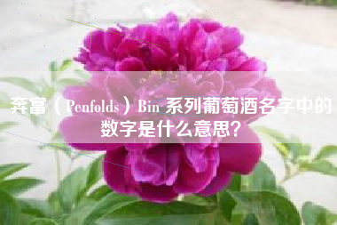 奔富（Penfolds）Bin 系列葡萄酒名字中的數(shù)字是什么意思？