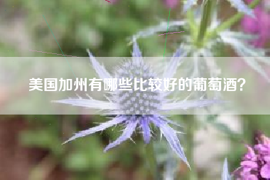 美國(guó)加州有哪些比較好的葡萄酒？