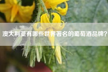 澳大利亞有哪些世界著名的葡萄酒品牌？