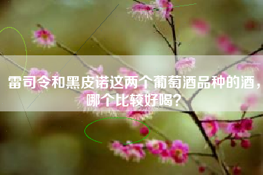 雷司令和黑皮諾這兩個(gè)葡萄酒品種的酒，哪個(gè)比較好喝？