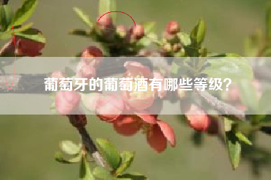 葡萄牙的葡萄酒有哪些等級(jí)？