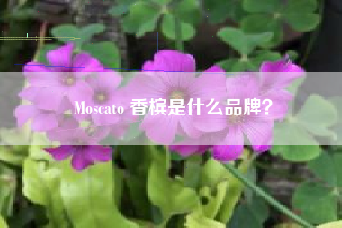 Moscato 香檳是什么品牌？