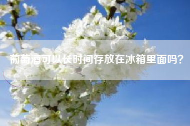 葡萄酒可以長(zhǎng)時(shí)間存放在冰箱里面嗎？